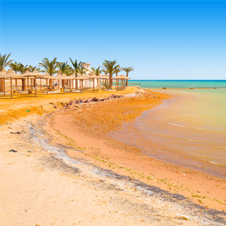 Tropisch strand met palmbomen en parasols aan de Rode Zee Egypte